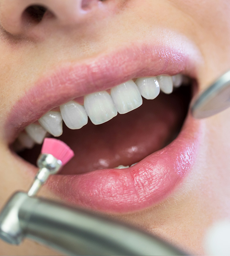 Modelo odontológico utilizado durante a orientação de higiene bucal